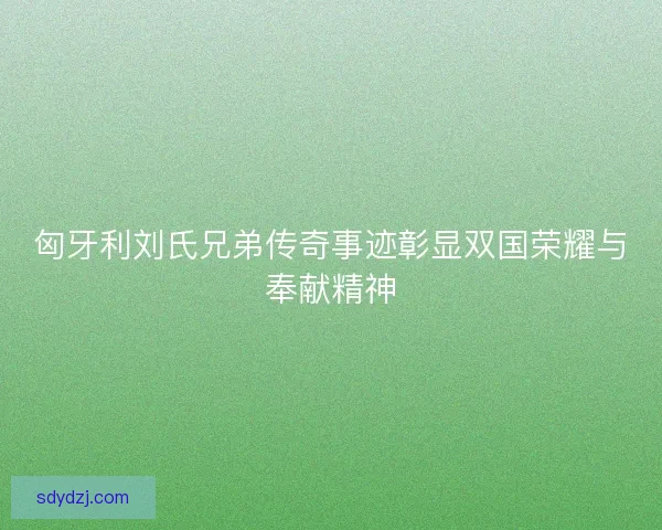 匈牙利刘氏兄弟传奇事迹彰显双国荣耀与奉献精神