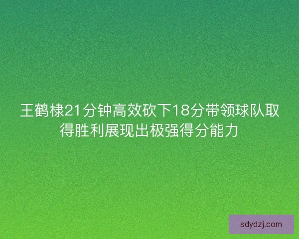 王鹤棣21分钟高效砍下18分带领球队取得胜利展现出极强得分能力