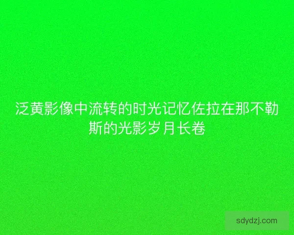 泛黄影像中流转的时光记忆佐拉在那不勒斯的光影岁月长卷