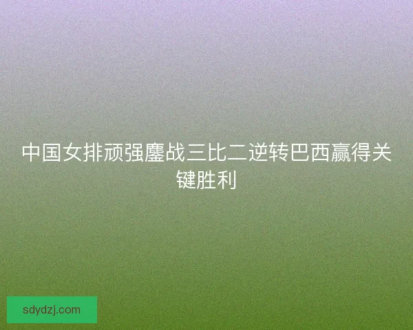 中国女排顽强鏖战三比二逆转巴西赢得关键胜利 中国女排顽强鏖战三比二逆转巴西赢得关键胜利