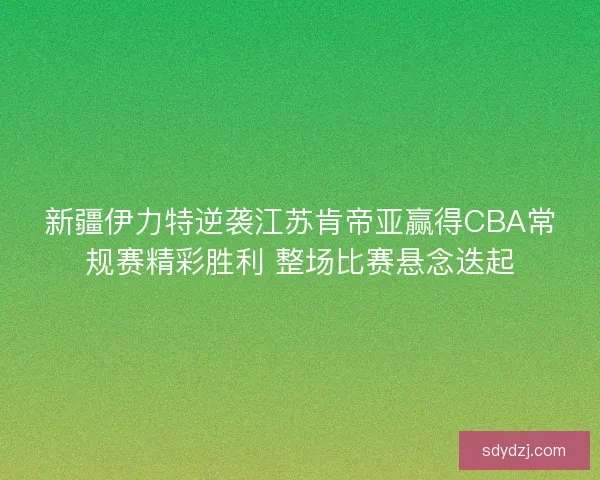 新疆伊力特逆袭江苏肯帝亚赢得CBA常规赛精彩胜利 整场比赛悬念迭起